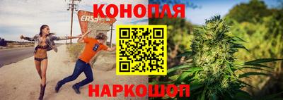 скорость Кингисепп
