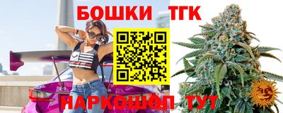 скорость Кингисепп