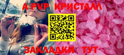 скорость Кингисепп