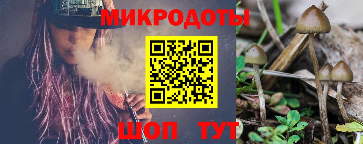 Псилоцибиновые грибы мухоморы Лесозаводск